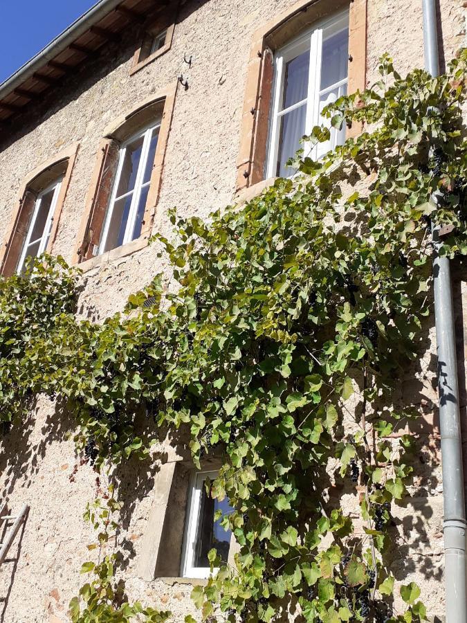 La Grange Aux Oiseaux Lägenhet Arnaville Exteriör bild